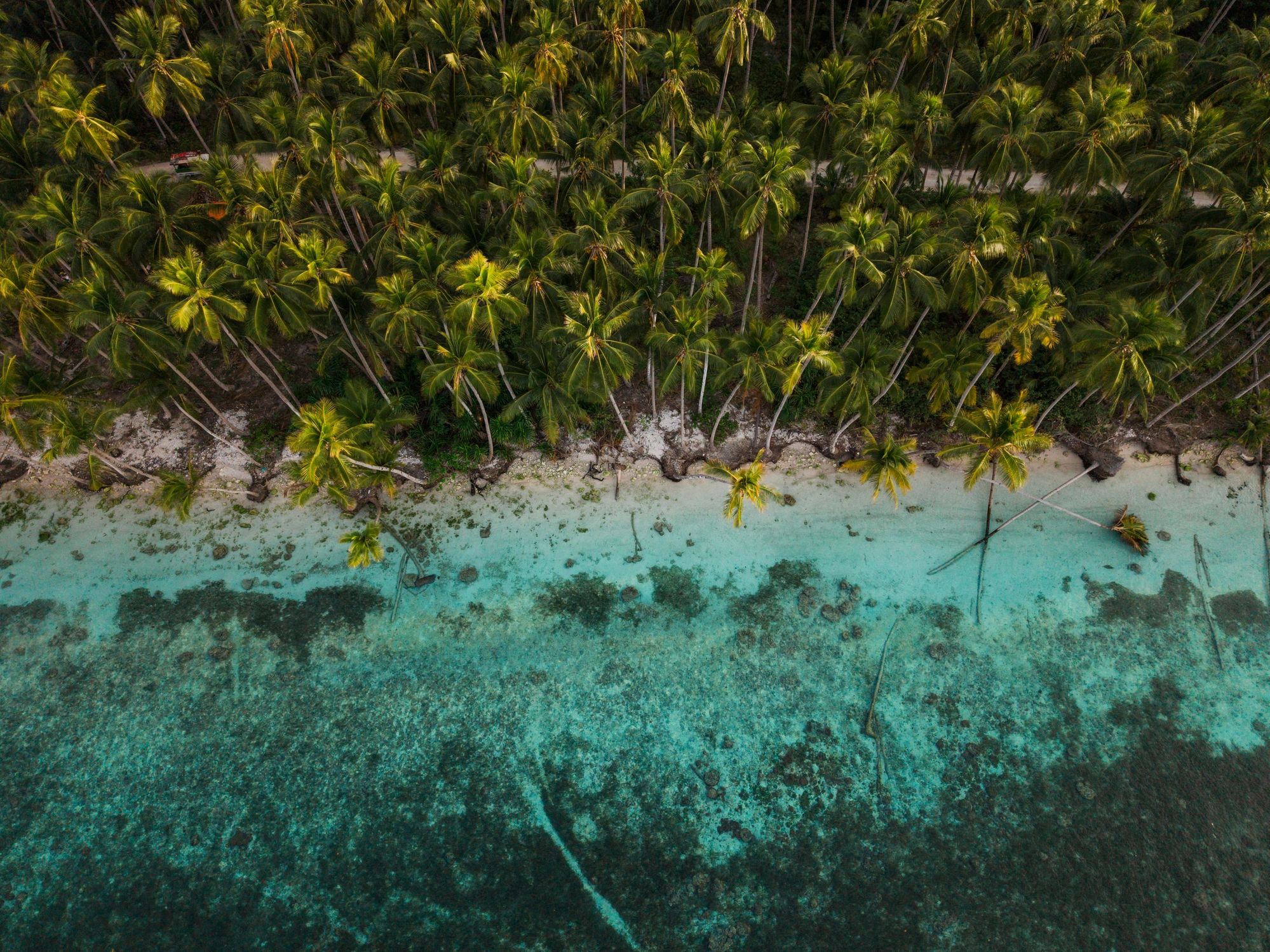 Aerial coastline view representing cinematic drone media